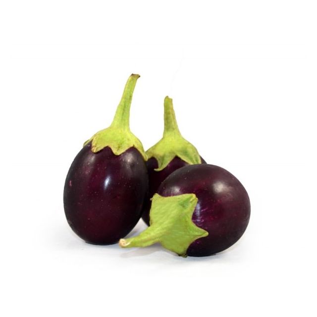 Fresh Round Indian Eggplant (X Small) - Price per Each
