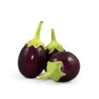 Fresh Round Indian Eggplant (X Small) - Price per Each