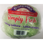 Bonipak Lettuce (Small) - Price Per Each
