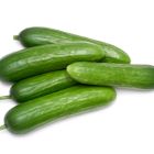 Cucumbers Canada & Mexican - Price per Each