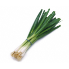 Green Onion Scallion Bunch 5-6 Pc