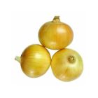 Yellow Onion (Medium - small) - Price per Each