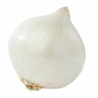 White Onion (Medium) - Price per Each