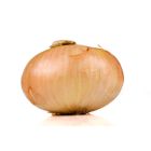 Sweet Vidalia Onion (X Large)- Price per Each