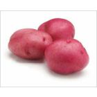 California Red Potato A (Small) - Price per Each