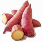 Japanese Sweet Potato (X Large) - Price per Each