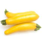 Squash Zucchini Yellow - Price per Each