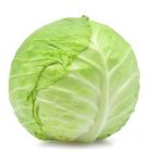Fresh Green Cabbage - Price per Each