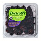 Driscoll's Organic Blackberries 6 Oz