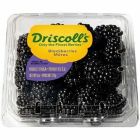 Driscoll's Blackberries 6 Oz