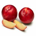 Sweet Red Plums - Price per Each