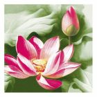 Dining Collection Lunch Napkins - Pink Lotus - 20 ct