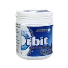 Orbit Peppermint Bottle Gum - 60 Tabs